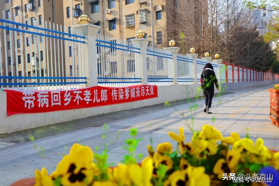 京山摄影爱好者,京山市摄影最牛的人