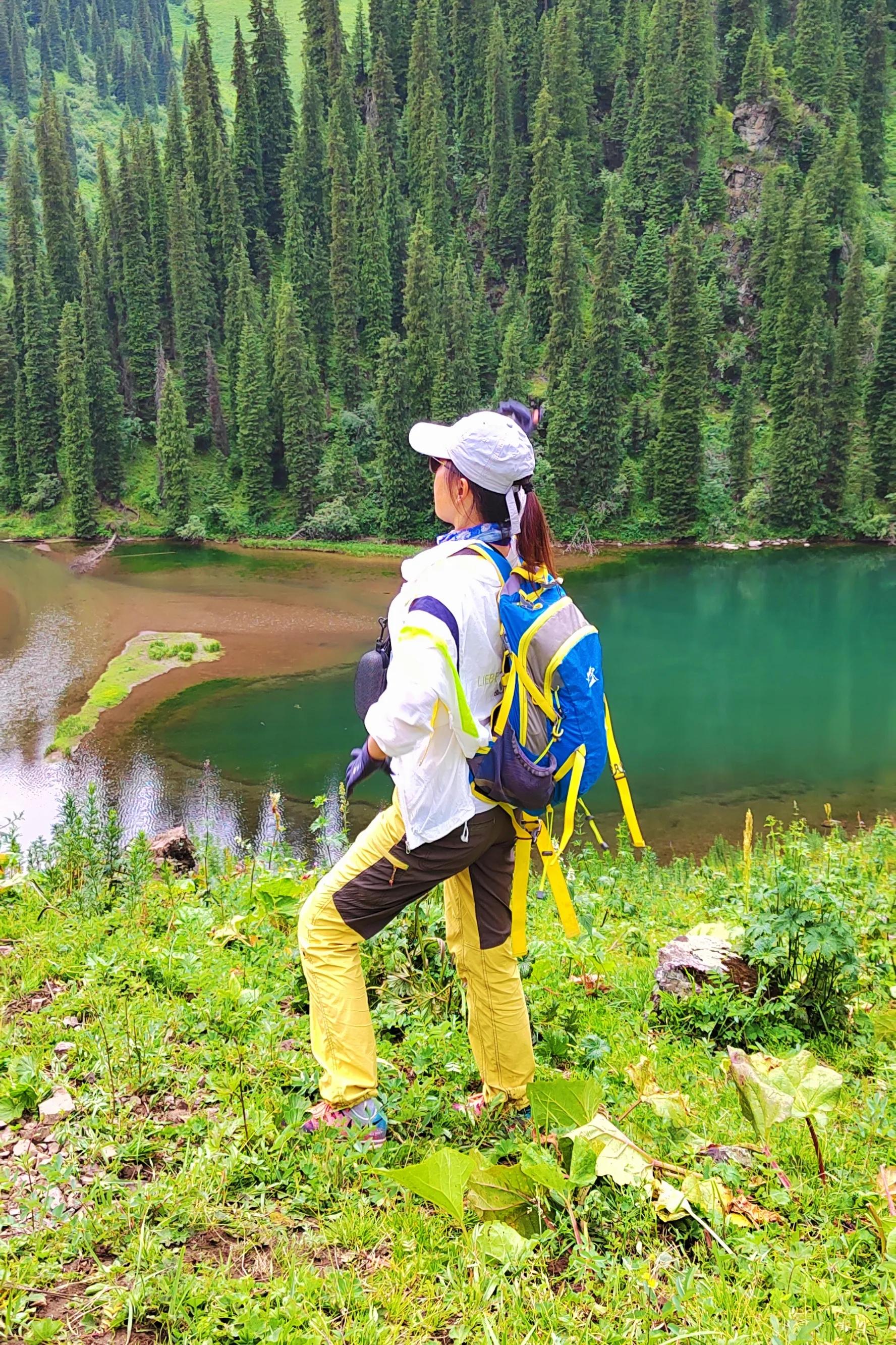 穿越森林探险视频,穿越森林探险之旅