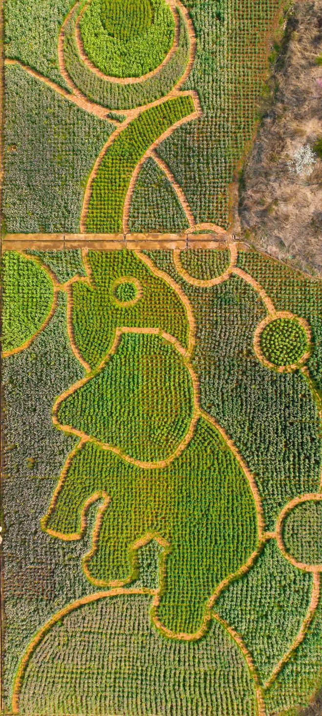 呈贡旅游攻略,2018中国旅游日昆明