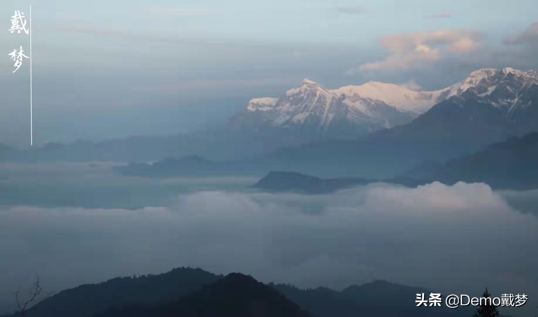 独自在尼泊尔，跟柬埔寨西港做网络赌博的那批人狭路相逢（终篇）