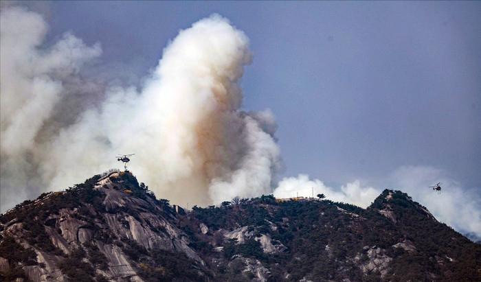 韩国首尔景福宫和青瓦台,韩国森林大火最新