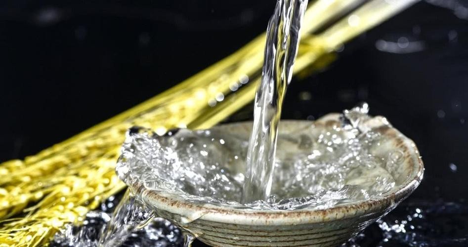 人体合理饮酒量怎么计算,人体饮酒量计算公式