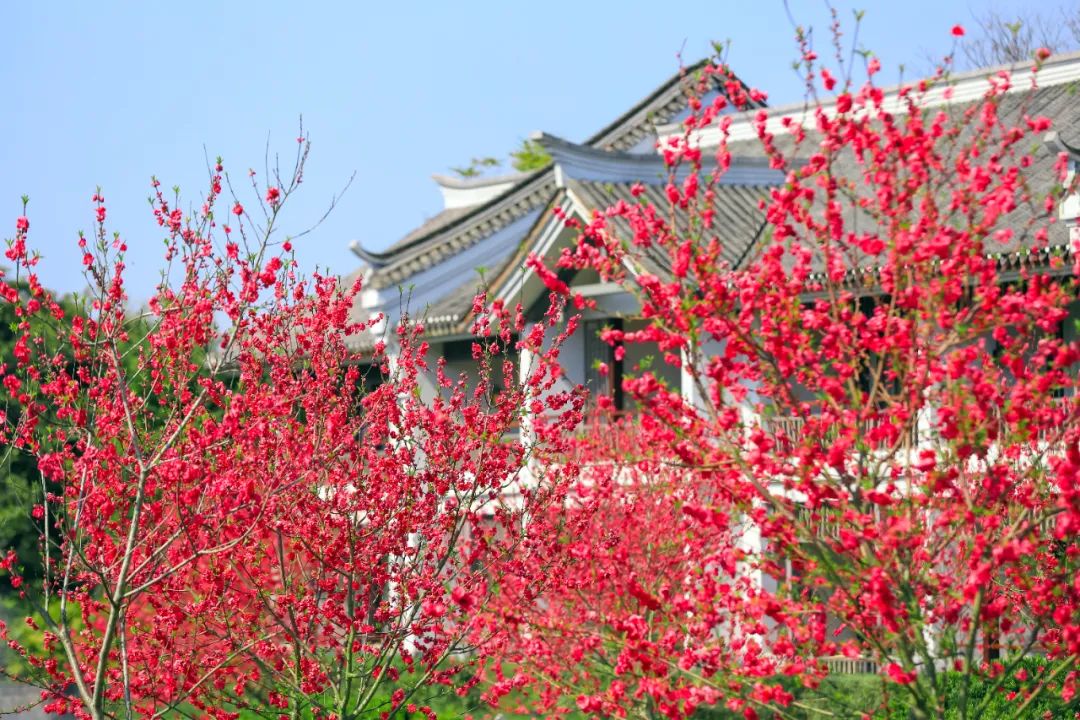 住阳朔应该住哪里的酒店,住阳朔附近哪里比较好