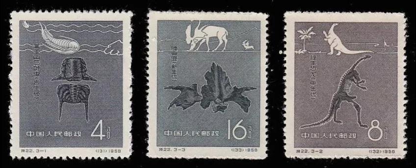 「共舞长江经济带」恐龙的五大千古之谜中，有几个人不应该被忘却