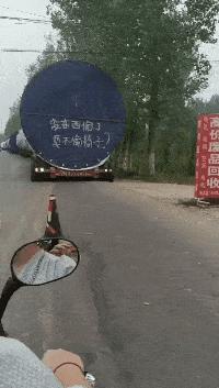 新手为什么不养鳄龟,养了一年的鳄龟怎么一点都不凶