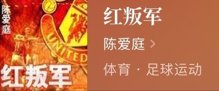 竞技类的足球小说有哪些类型,足球类长篇小说有哪些类型