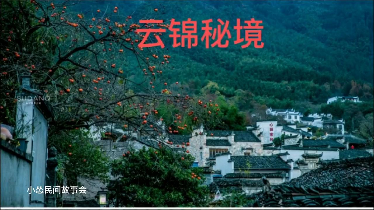 中视频伙伴计划入口,中视频伙伴计划官方