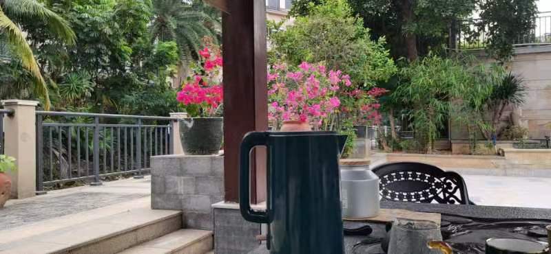 鍗氬＋鑼堕闂ㄧエ,鍗氬＋鑼堕