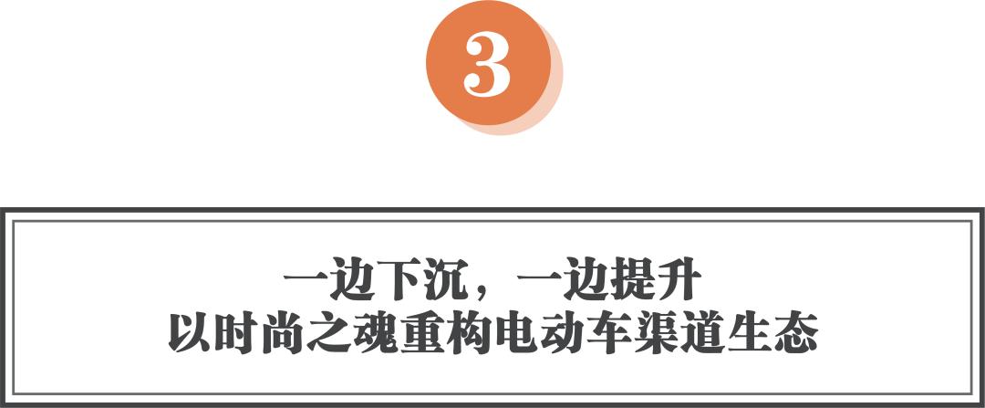 爱玛科技一季度报,爱玛科技财报分析