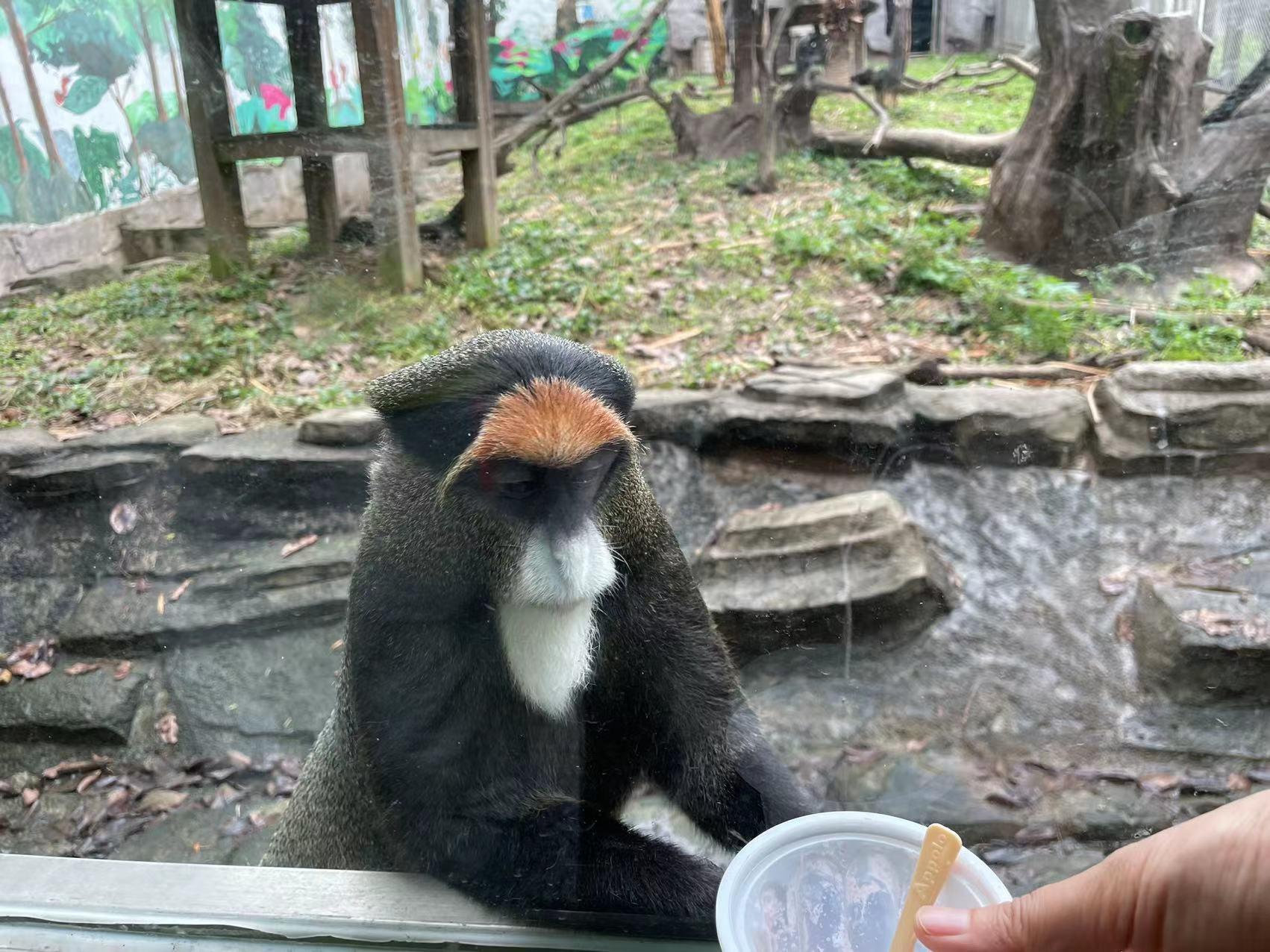 广州长隆动物园60岁以上老人门票,比广州动物园门票更低的动物园