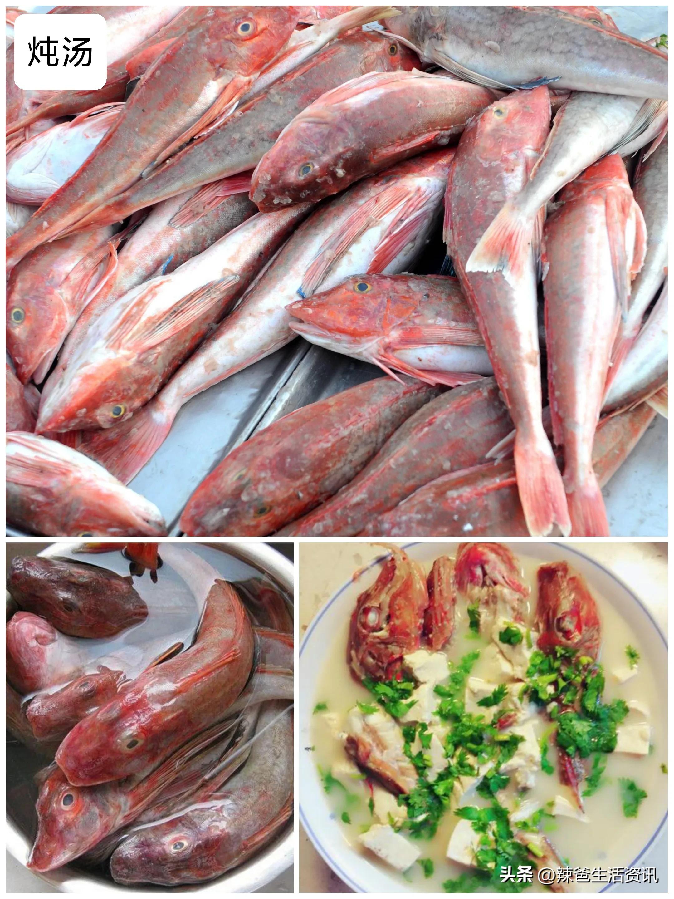 海鱼的高端做法,海鱼的20种做法大全