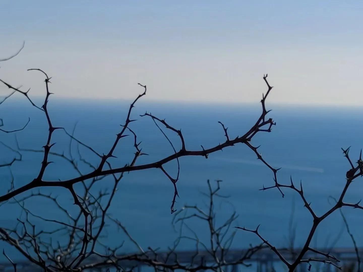 大连渤海旅游攻略最新,北国之春大连旅游攻略