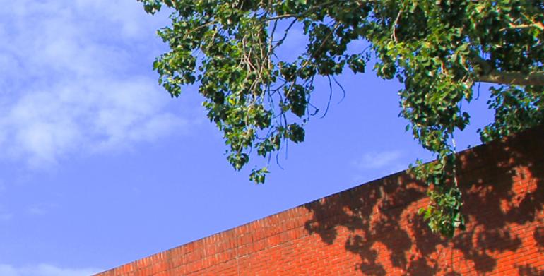 北京语言大学和大外哪个好,全国语言类大学最新排名