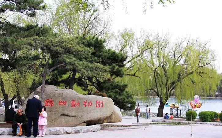 辽宁锦州市凌河区蛋糕店,辽宁锦州市凌河区宠物用品批发