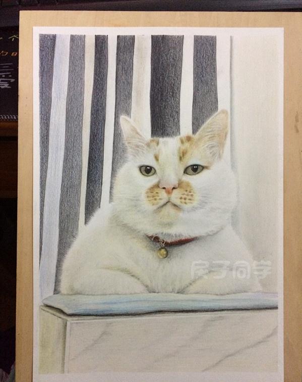 自学画画多久能画人像,自学画画最快几个月能工作