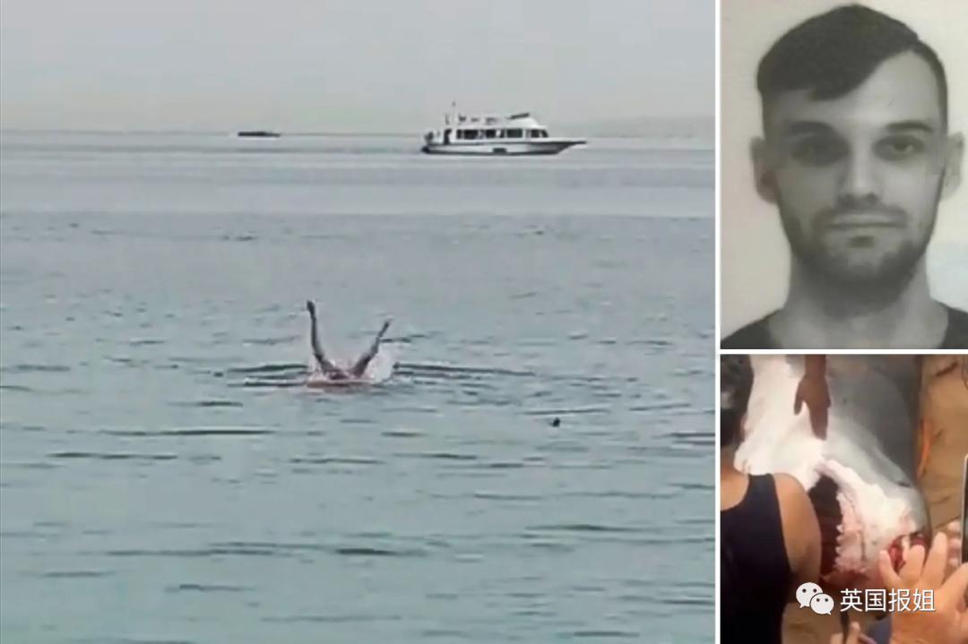 俄罗斯男子在海边被鲨鱼咬死,俄罗斯男子被鲨鱼咬死鲨鱼被捕