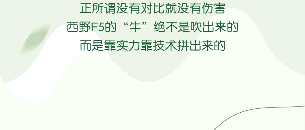 西野开关的优缺点,西野开关优缺点