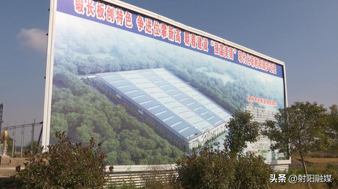 学思践悟二十大｜兴桥镇：以项目建设突破促发展跨越提速