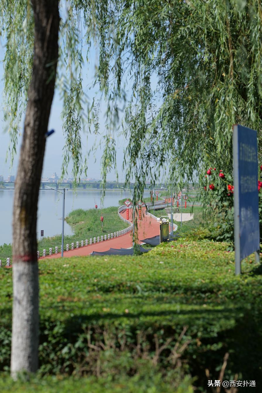 西安最大花海公园,西安周边的自然景观公园