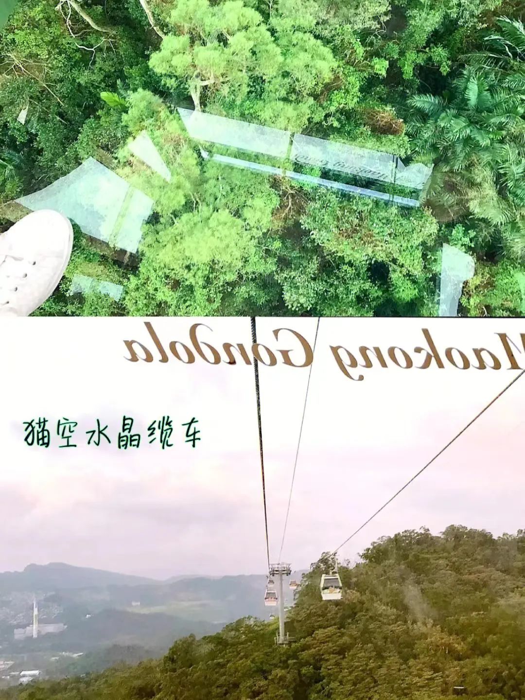 台湾地图为啥上热搜,台湾省地图热搜