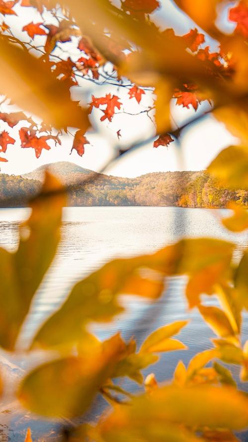 以秋天为主题重点表达情感散文,秋天是一种心境散文