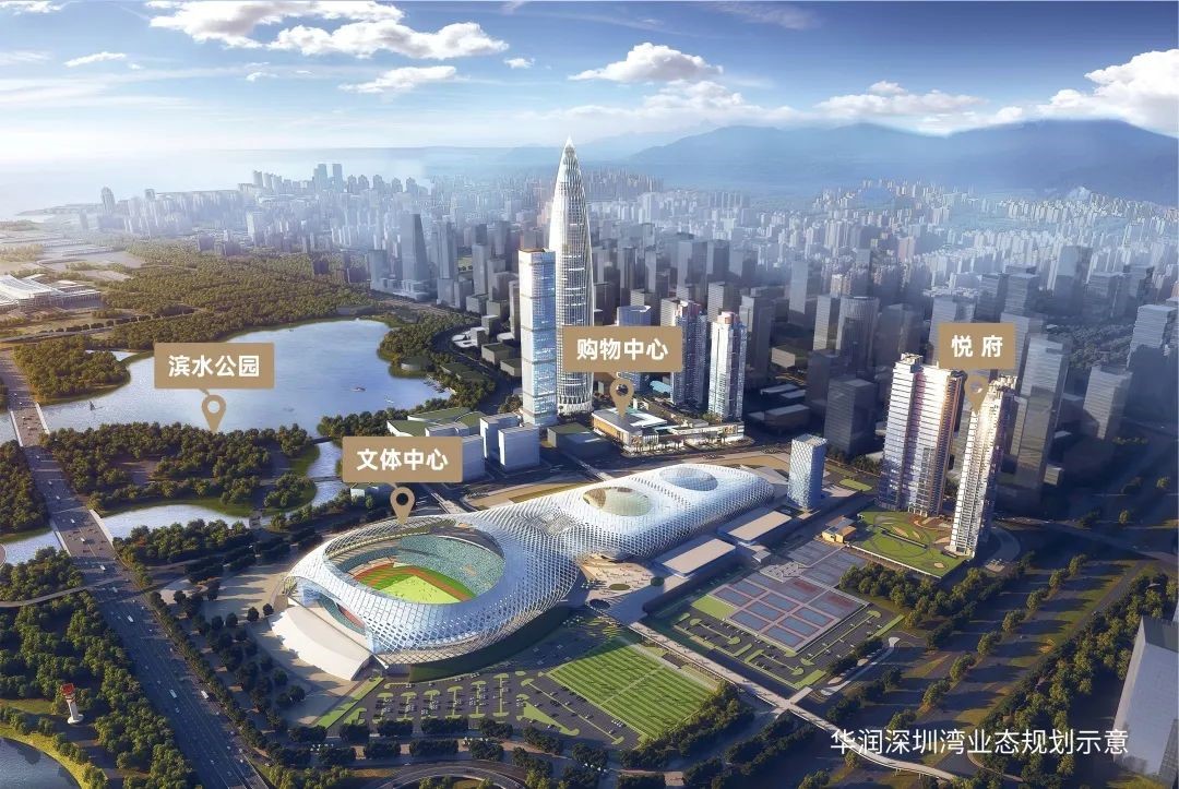 湾区魅力，置业大良正当时