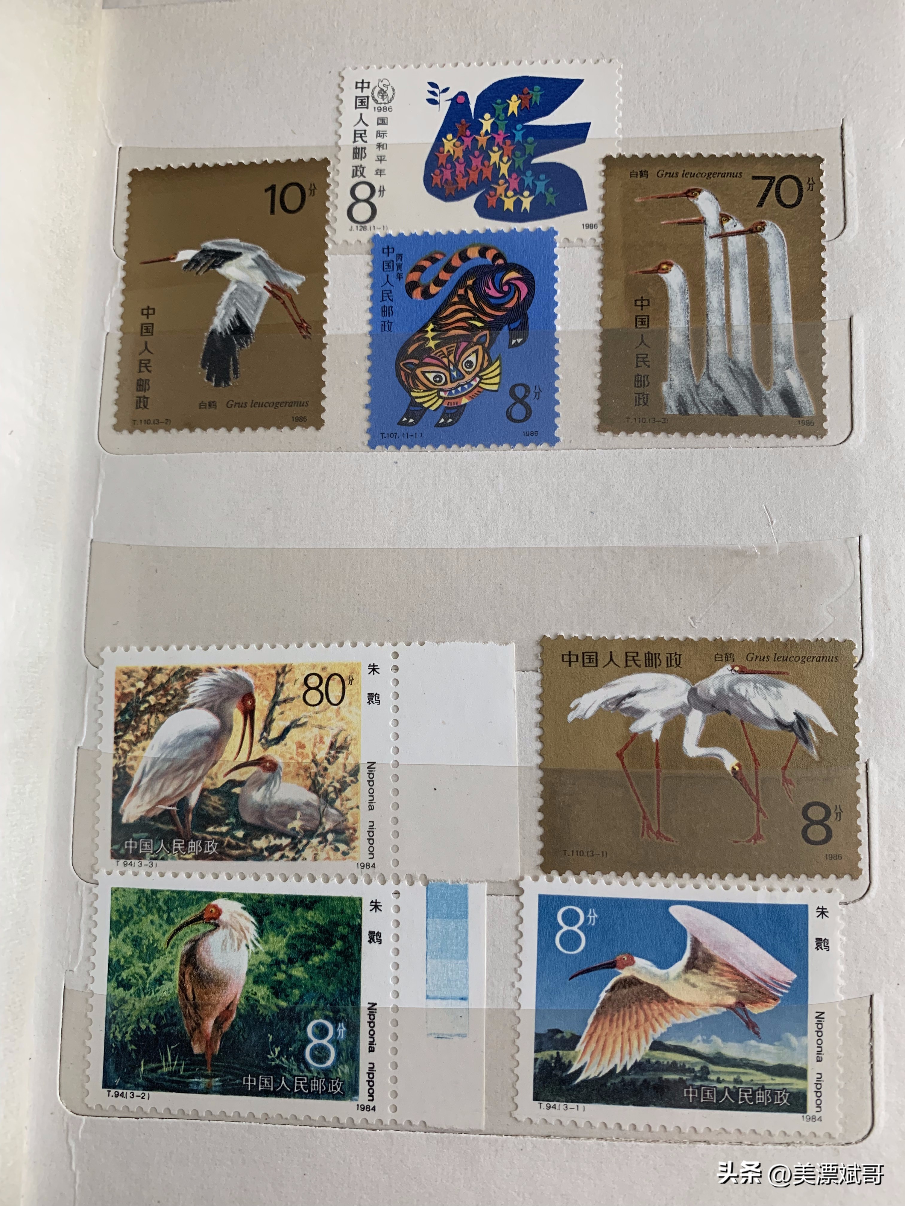 海淘绘本开箱,海淘购买开箱