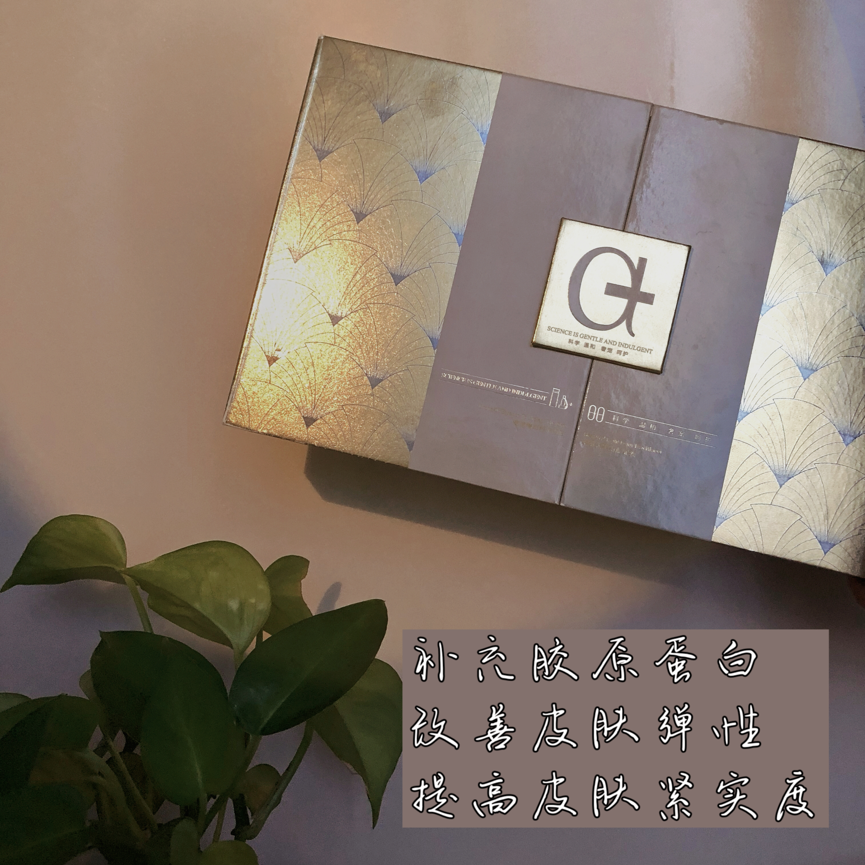 年度爱用物大牌,年度爱用物盘点