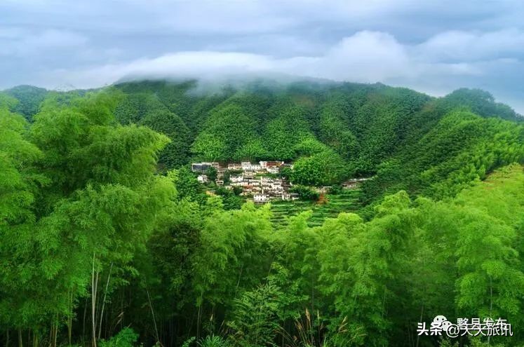 安徽天然氧吧地区名单,安徽最好的天然氧吧景区