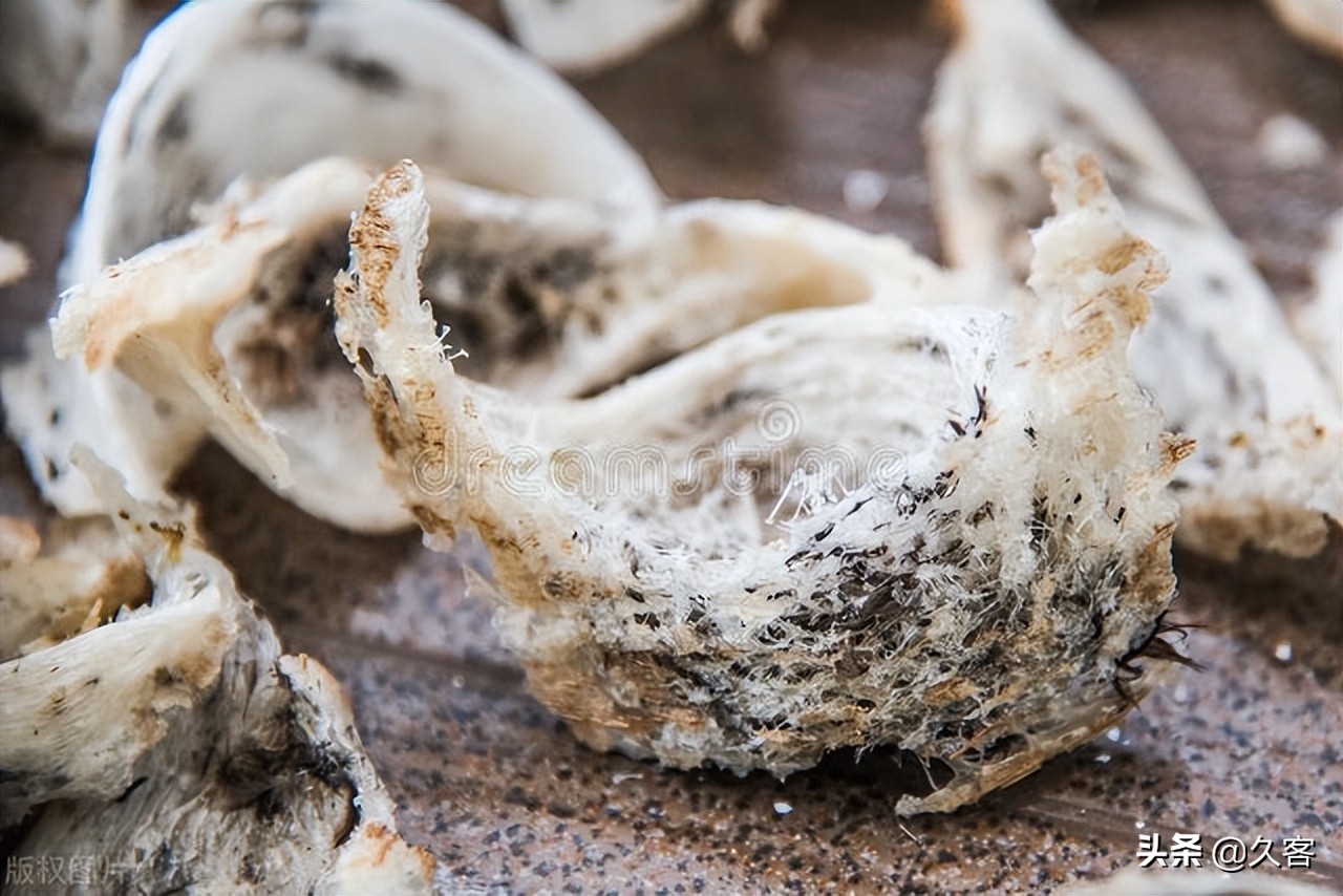 四川村民悬崖绝壁采燕窝,煮成“富贵汤”,为何只给外人喝?