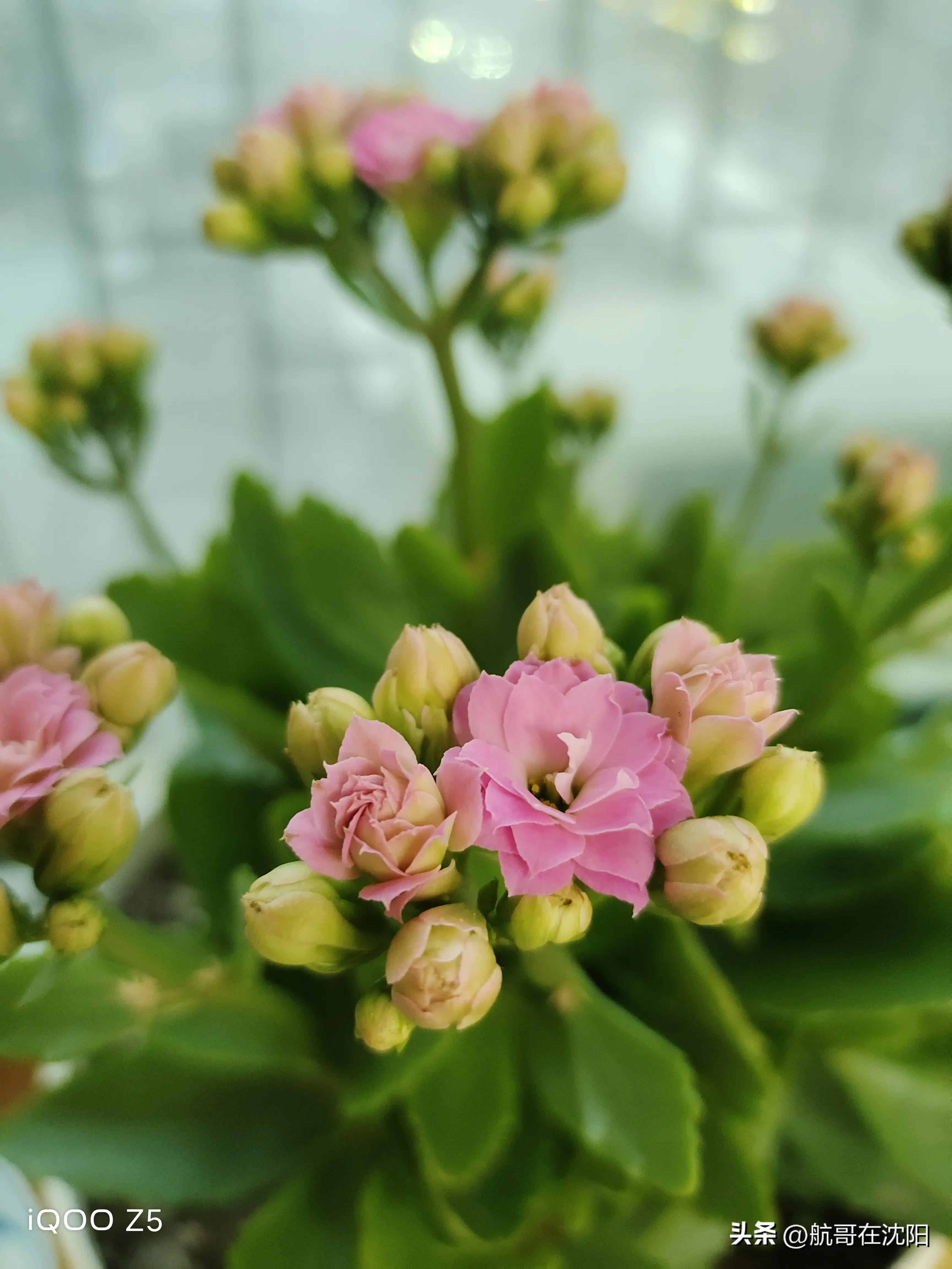 全款买房买车入住小区，邻居一番话令我顿悟，做人不低调真没朋友