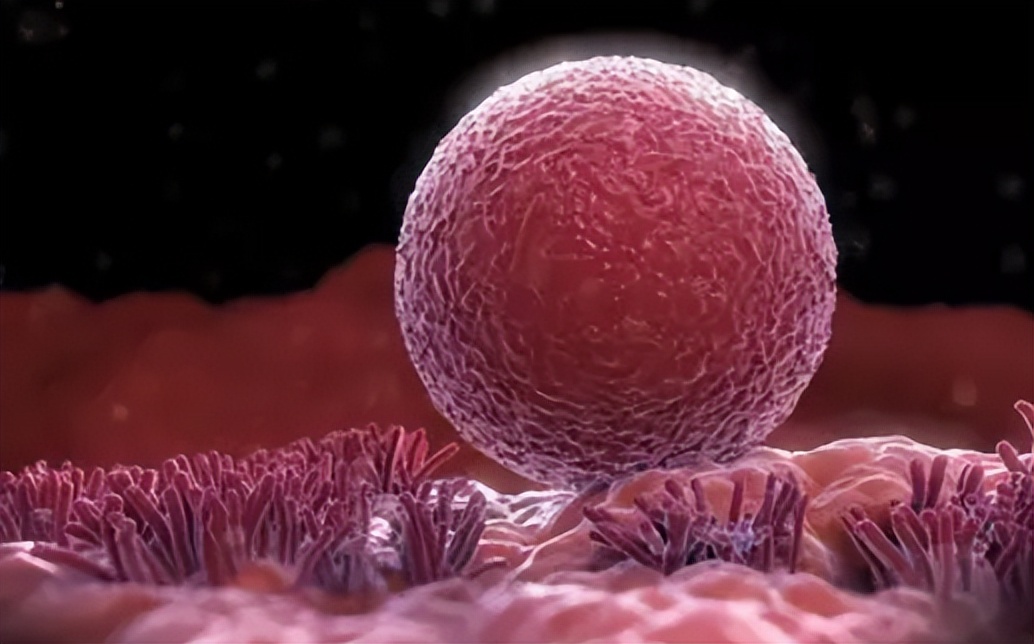 排卵期有什么特别之处吗,排卵期的女人