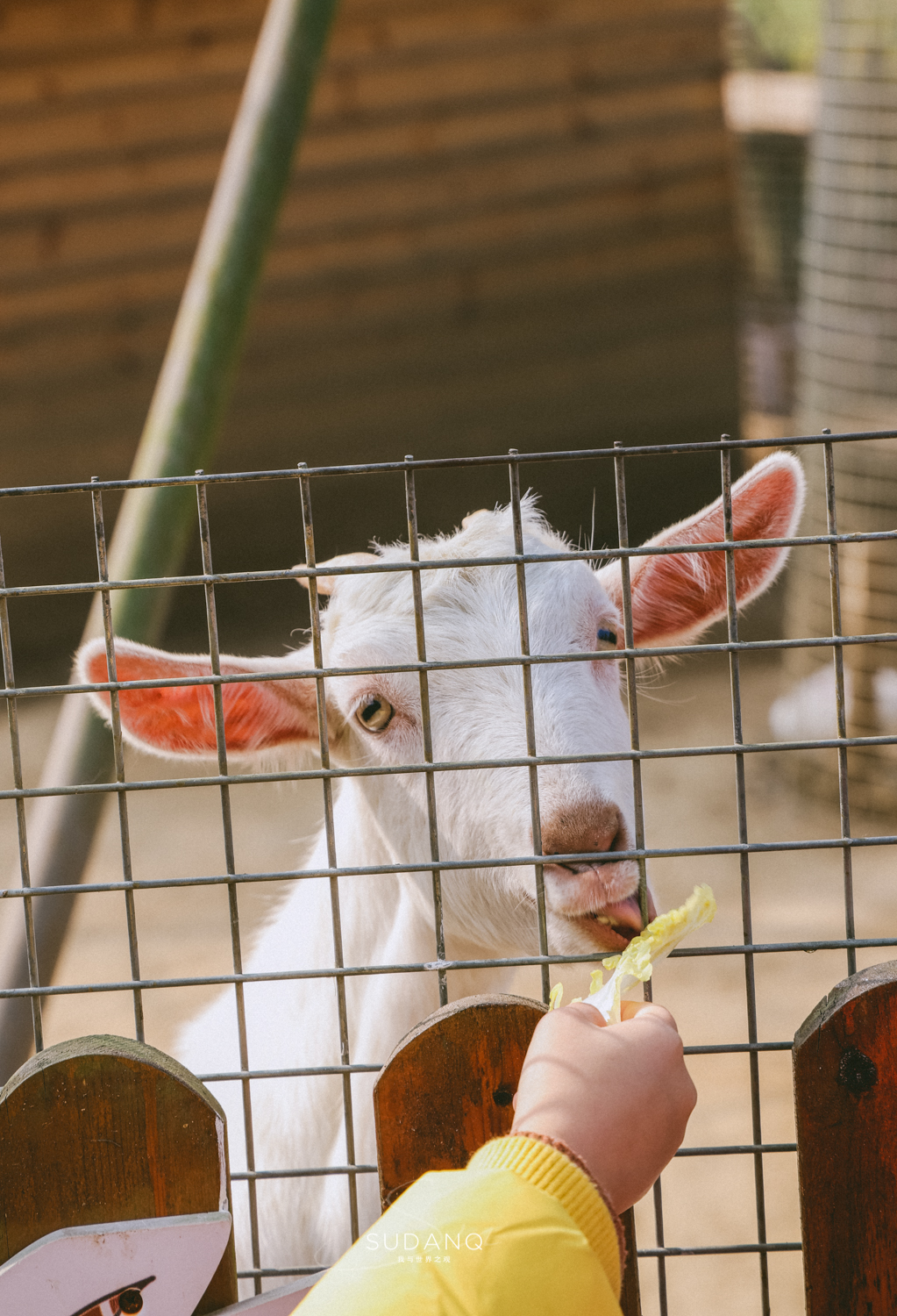 苏州太湖四日游攻略图,新春之旅二日游旅游攻略