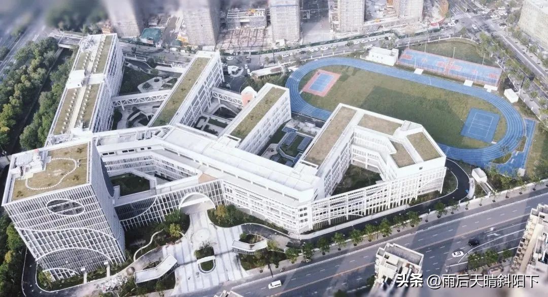 杭州中小学校长调整,杭州市教育系统新校长