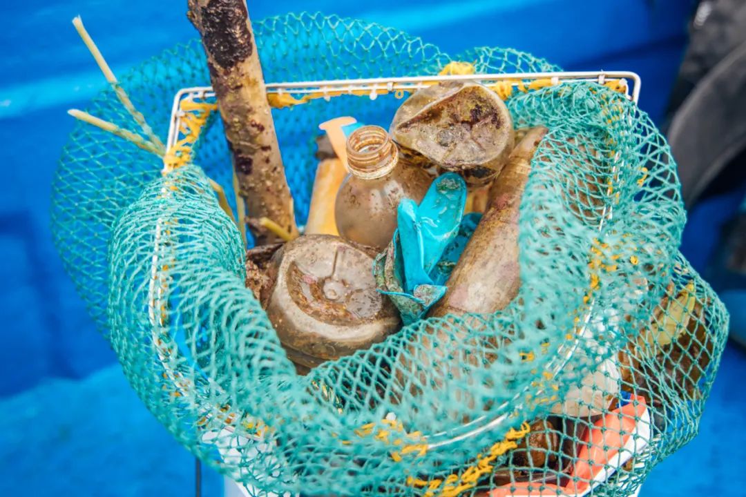 涓栫晫涓婃渶闀跨殑娴锋花鏍堥亾姊呮矙韪忔氮,涓栫晫涓婃渶闀跨殑娴锋花鏍堥亾