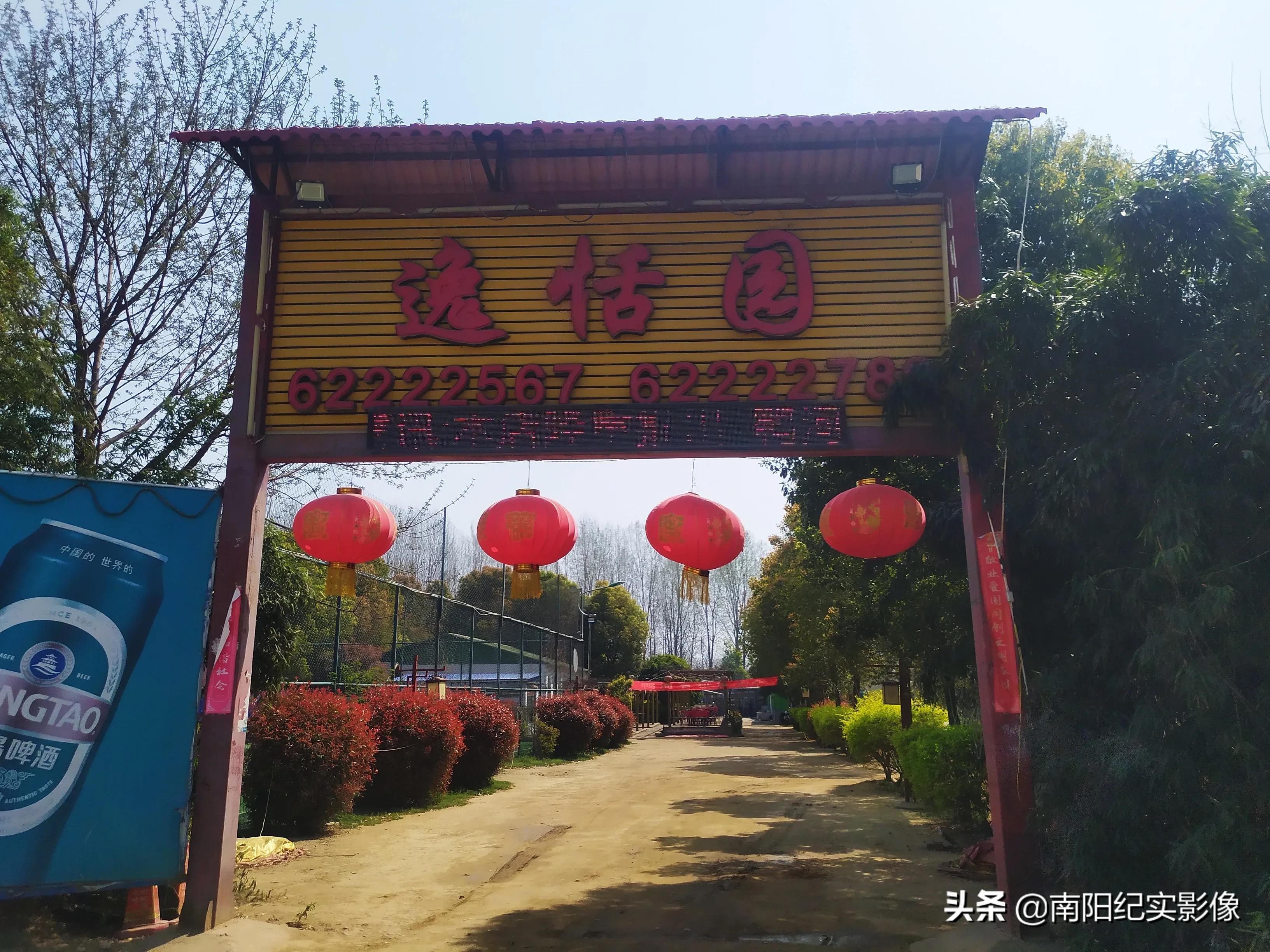 南阳鸭河鱼干饭,南阳鱼干饭哪家好