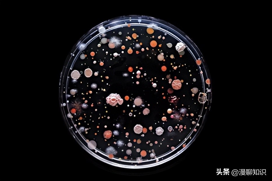 细菌是种类最广泛的畜禽微生物，如何将病毒与之分离