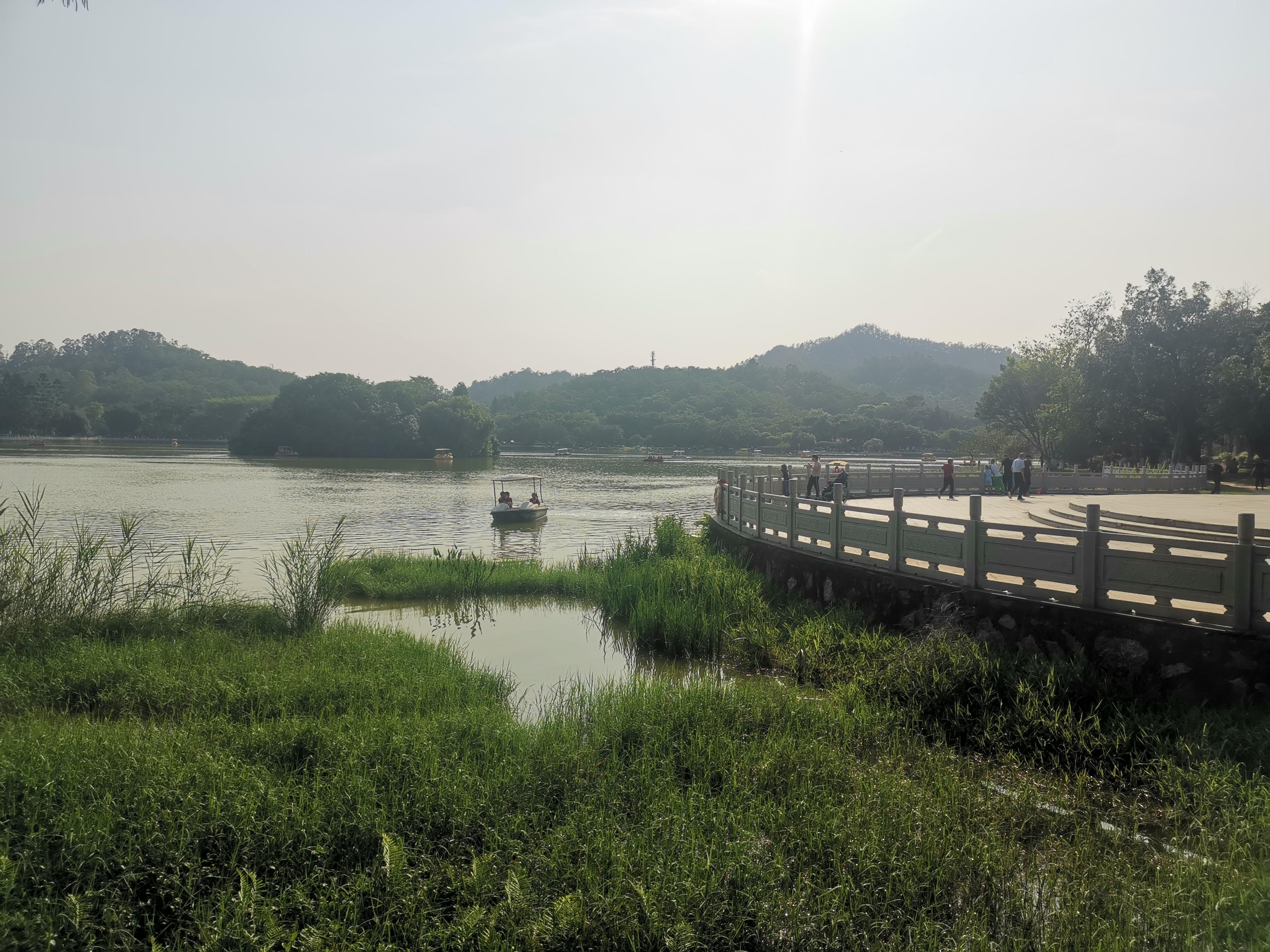 大夫山一日游自由行,大夫山一日游周记