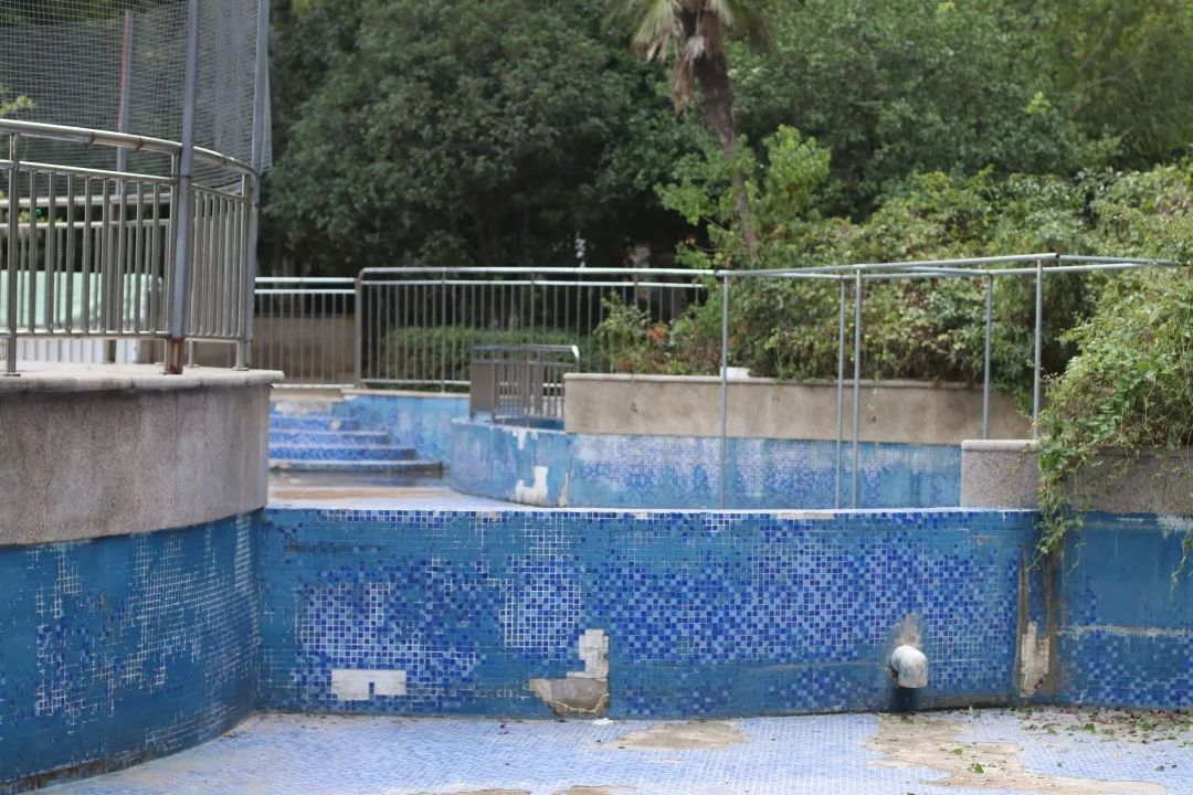 它在合肥房价高达2.8万，无数业主却说出了真实心声