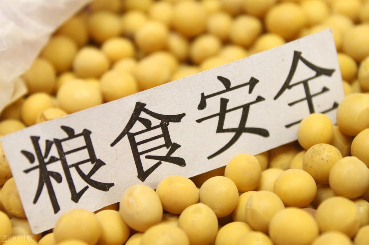 大豆价格预测尽在大豆价格信息网,大豆价格最新7月2号大豆价格行情