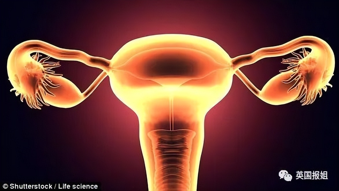 一男子为了变性为女生,竟然用鱼皮造了*体下**