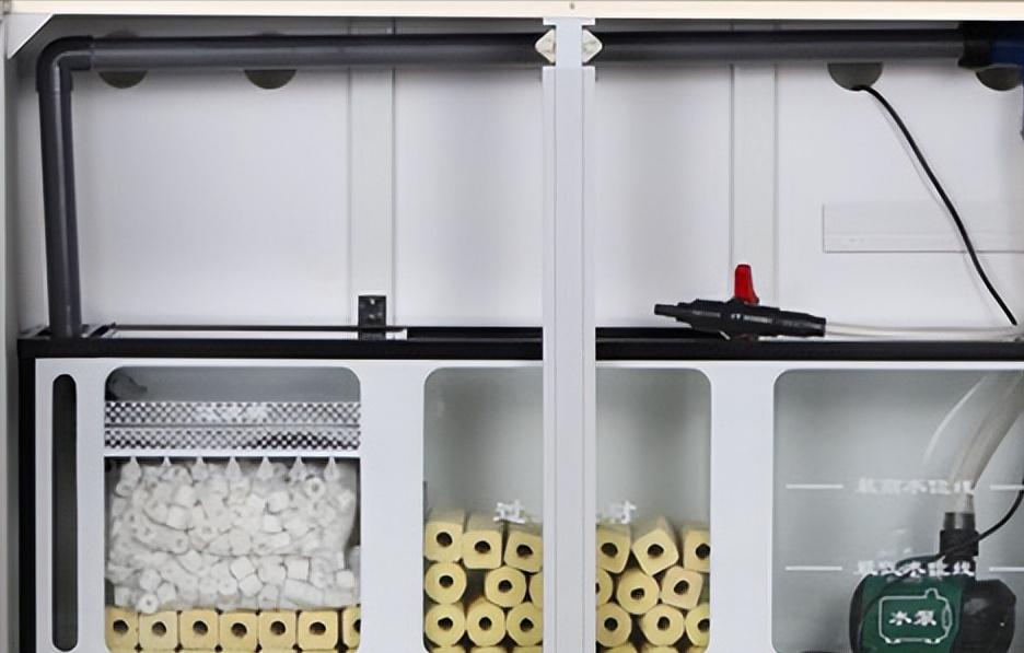 30缸天空之城鱼缸造景,20厘米鱼缸原生缸造景