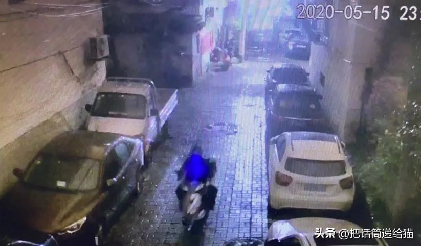 江苏偷猫事件,偷猫人被抓新闻