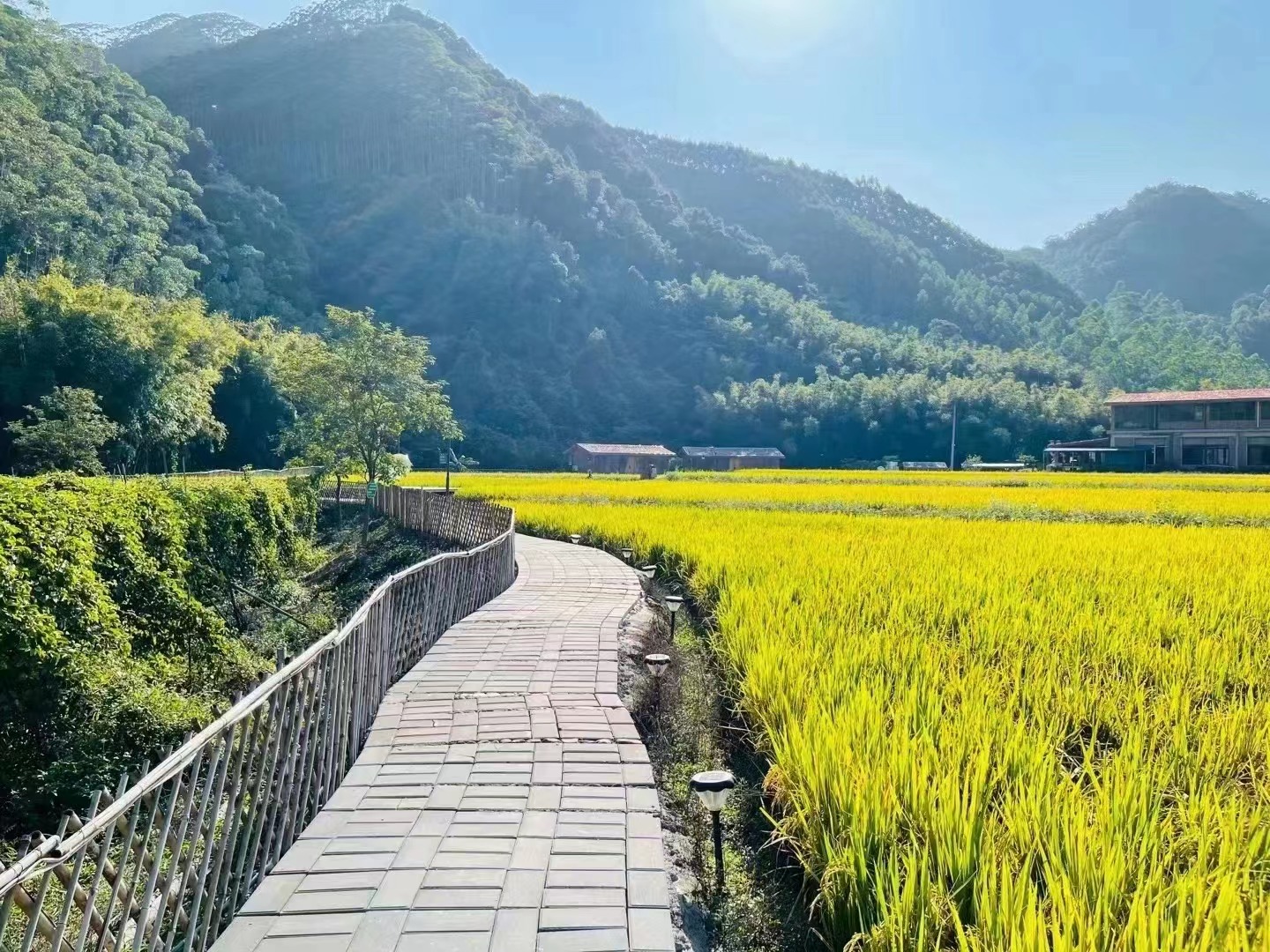 罗浮山温泉品质特色民宿推荐,惠州罗浮山脉下的乡野秘境民宿