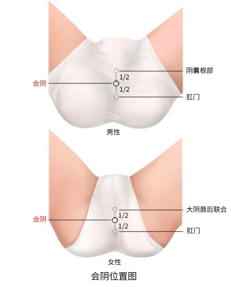 一旦打开会阴穴，阴阳平衡，水火交融，雪里花开，容颜返壮