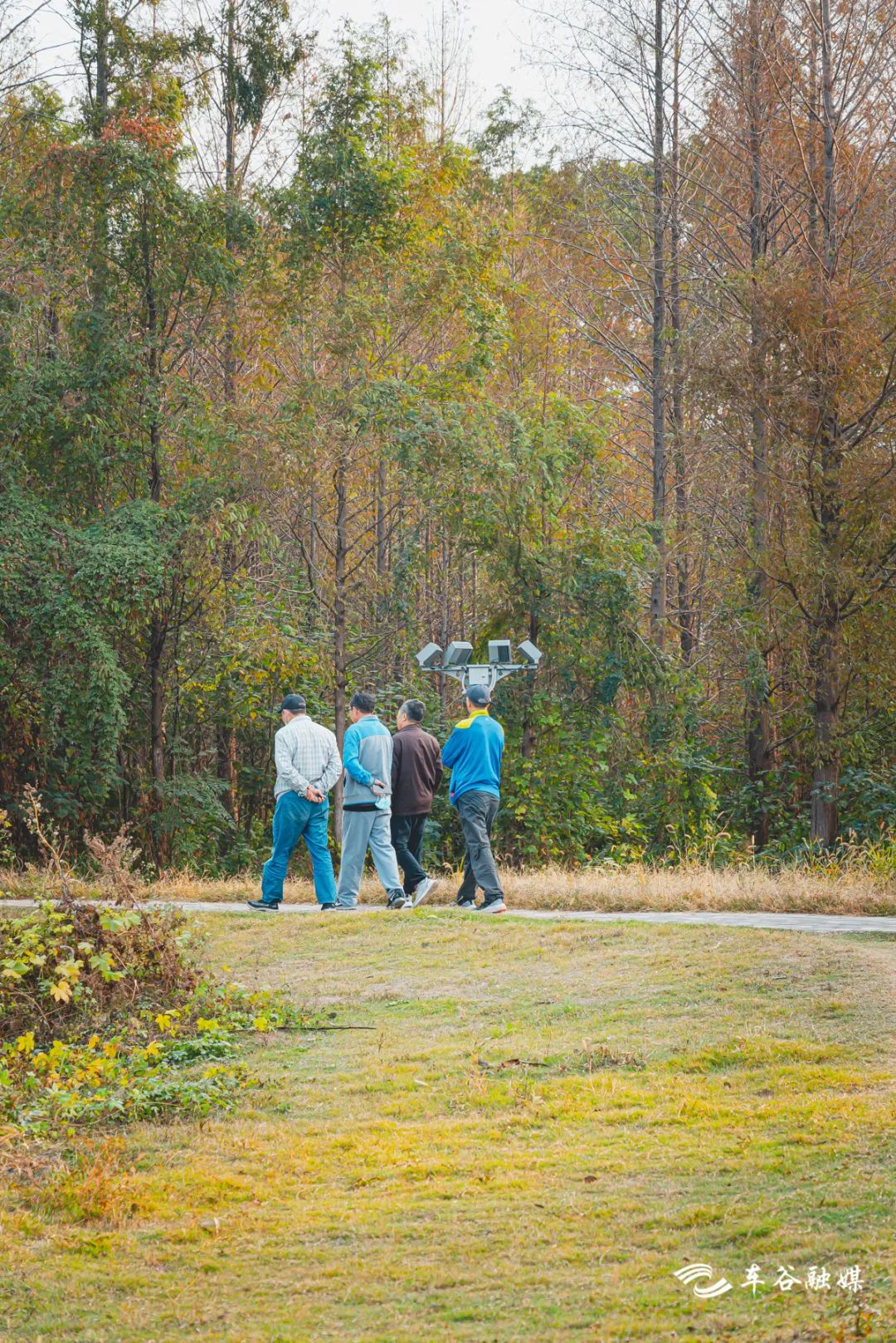 散步、慢跑、骑行……快来打卡车谷这些“高颜值”绿道