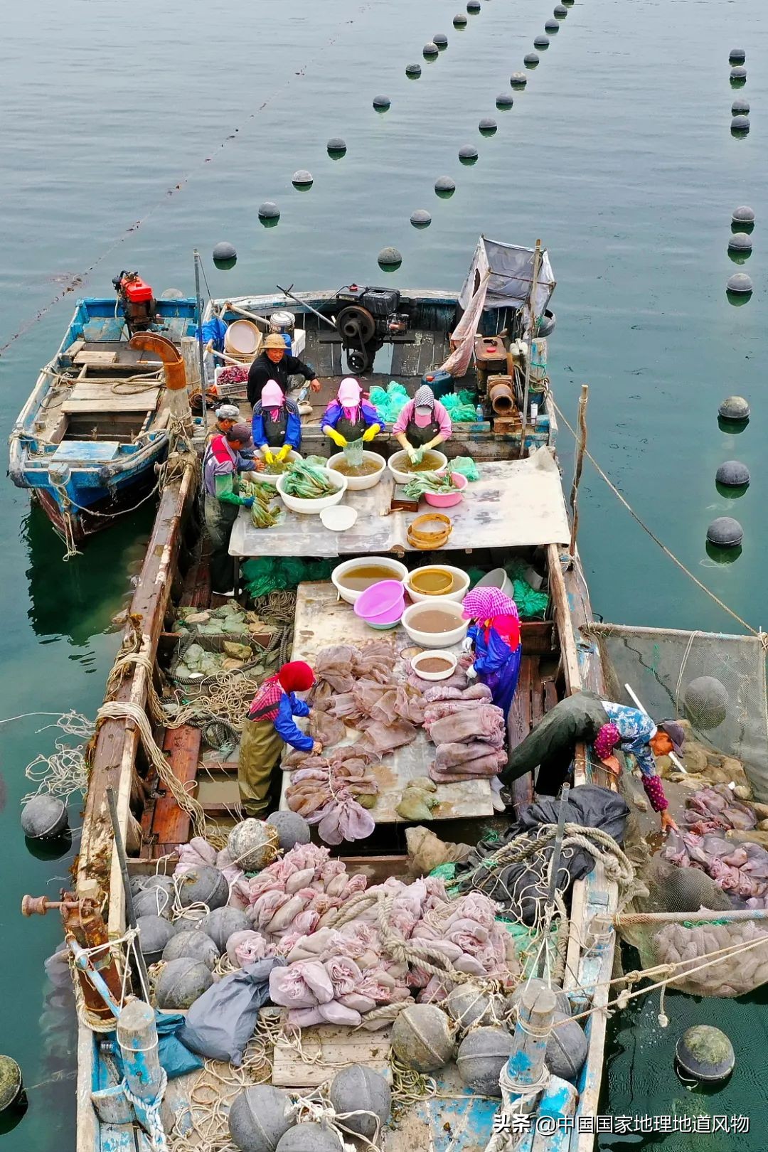 辽宁哪个地方的海鲜最好,辽宁各市都有啥海鲜