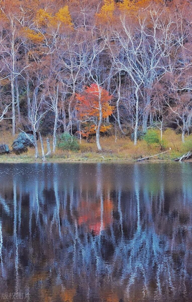 中国最值得去的100个地方是哪里,中国值得去的10个绝美旅行地