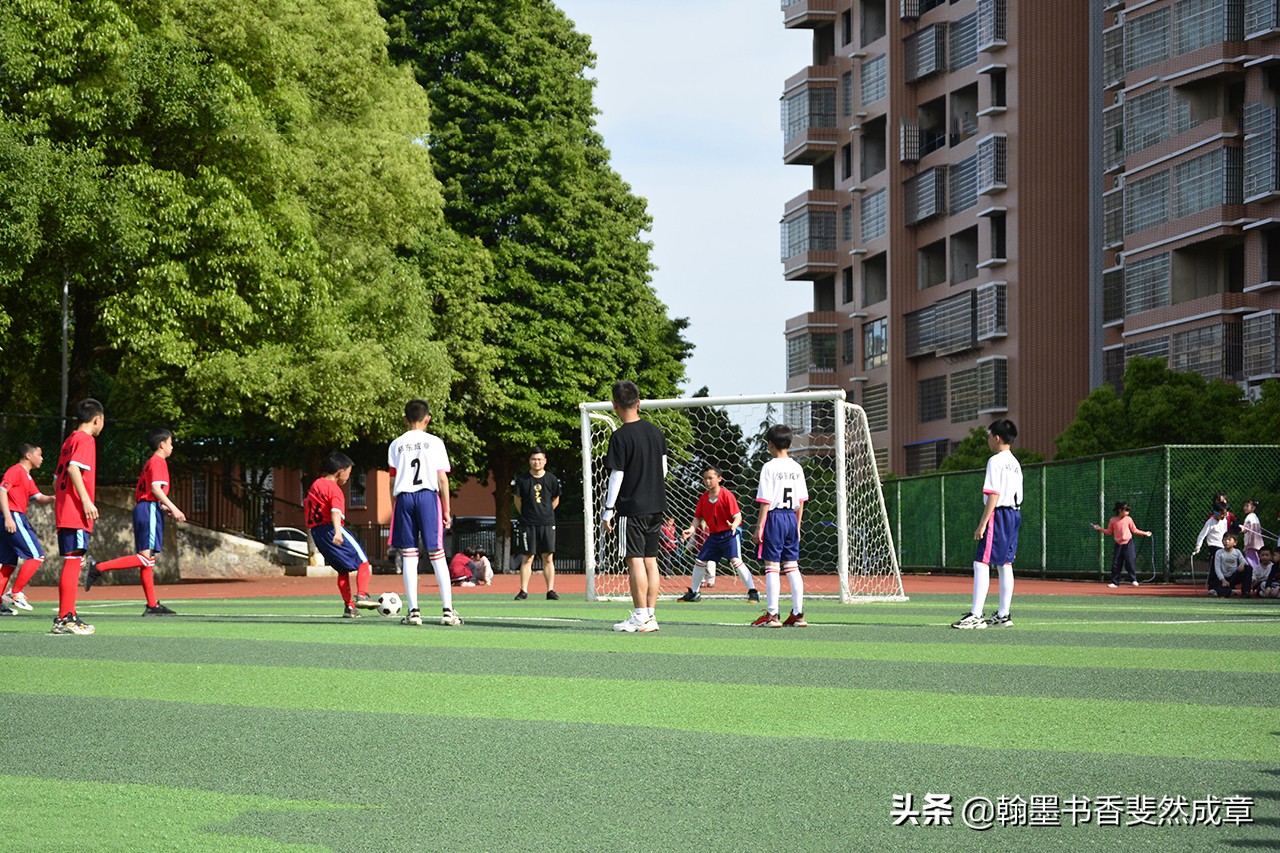 祁门县小学生第八届校园足球联赛,祁东成章小学足球联赛