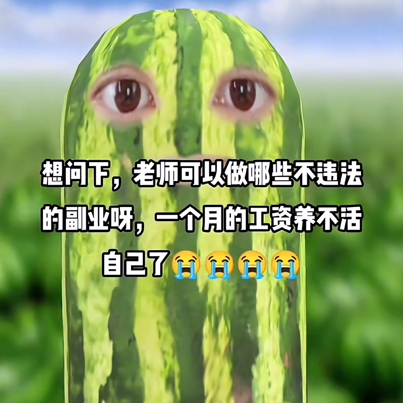 NO.3今日笑话不懂就问，老师的副业真都这么有趣吗